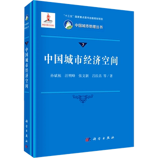 中国城市经济空间 孙斌栋 等 著 各部门经济经管、励志 新华书店正版图书籍 科学出版社