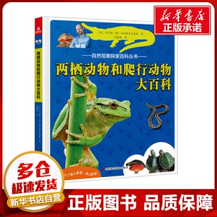 两栖动物和爬行动物大百科 (波)马尔钦·扬·戈拉兹多夫斯基 著 马勤勤 译 生命科学/生物学专业科技 新华书店正版图书籍