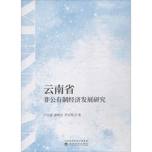 云南省非公有制经济发展研究 卢正惠,唐柳洁,罗宏翔 著 经济理论经管、励志 新华书店正版图书籍 经济科学出版社