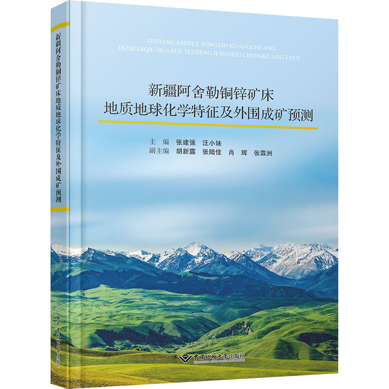 新疆阿舍勒铜锌矿床地质地球化学特征及外围成矿预测 张建强,汪小妹 编 冶金工业专业科技 新华书店正版图书籍