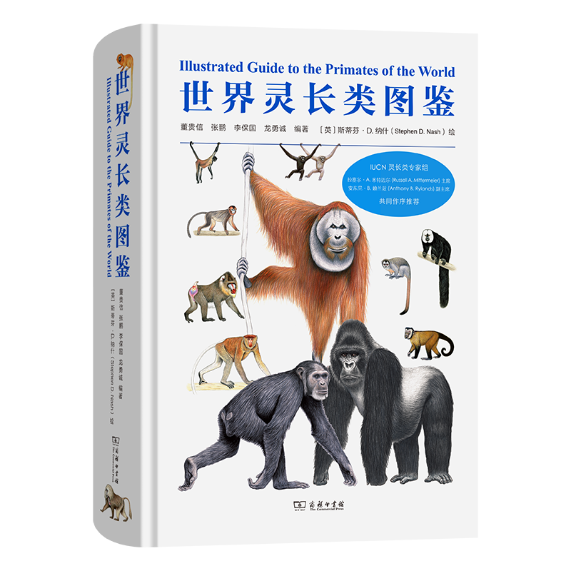 世界灵长类图鉴 董贵信 等 编著 编 (英)斯蒂芬·D.纳什 绘 绘 动物专业科技 新华书店正版图书籍 商务印书馆