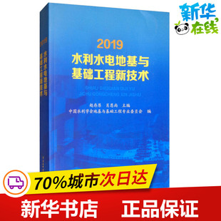 2019水利水电地基与基础工程新技术 赵存厚,肖恩尚,中国水利学会地基与基础工程专业委员会 编 建筑/水利（新）专业科技