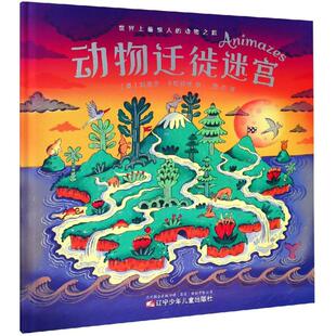 动物迁徙迷宫 (英)玛丽莎· 卡斯特琳 绘周杰 译 著 周杰 译 科普百科少儿 新华书店正版图书籍 辽宁少年儿童出版社