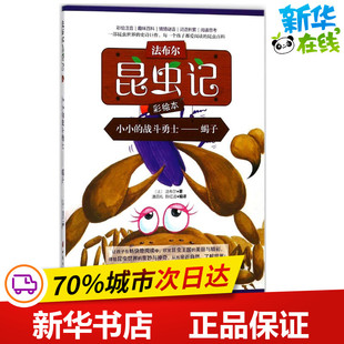 法 社 中国妇女出版 著 战斗勇士 蝎子 科普百科少儿 著;潘昌礼 法布尔 图书籍 小小 陈红波 新华书店正版 编译