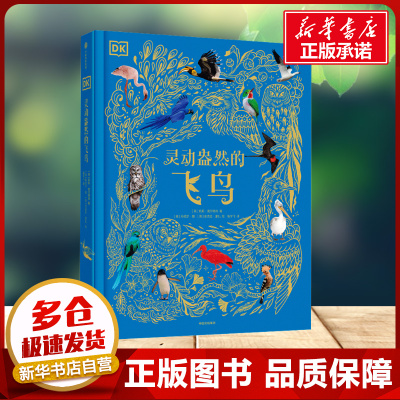 DK灵动盎然的飞鸟典藏珍品生机盎然的鸟类世界睡前亲子故事儿童读物讲述鸟类的进化和它们绚丽多彩的世界学生课外阅读新华书店正版