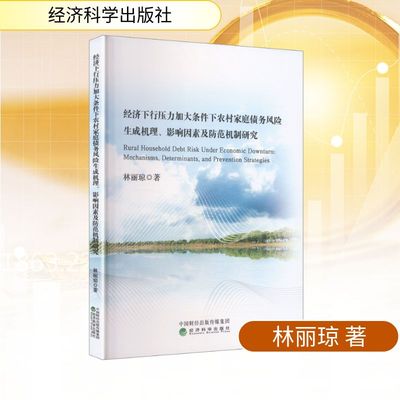 经济下行压力加大条件下农村家庭债务风险生成机理、影响因素及防范机制研究 林丽琼 著 著 金融经管、励志 新华书店正版图书籍
