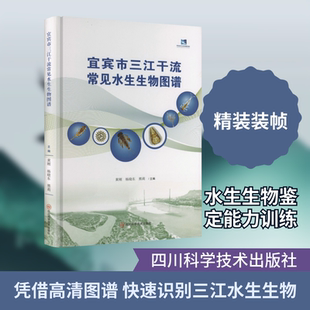 宜宾市三江干流常见水生生物图谱 黄刚,杨晓东,熊莉 主编 编 自然科学总论专业科技 新华书店正版图书籍 四川科学技术出版社