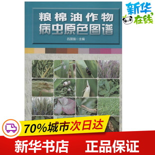 粮棉油作物病虫原色图谱 吕国强 主编 自由组合套装专业科技 新华书店正版图书籍 河南科学技术出版社