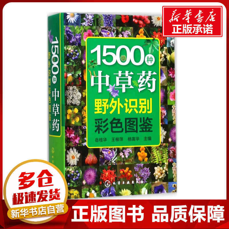 1500种中草药野外识别彩色图鉴 岳桂华,王柳萍,杨高华 主编 著 中医生活 新华书店正版图书籍 化学工业出版社