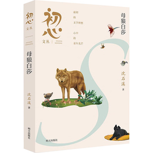 初心文丛 母狼白莎 沈石溪 著 儿童文学少儿 新华书店正版图书籍 明天出版社