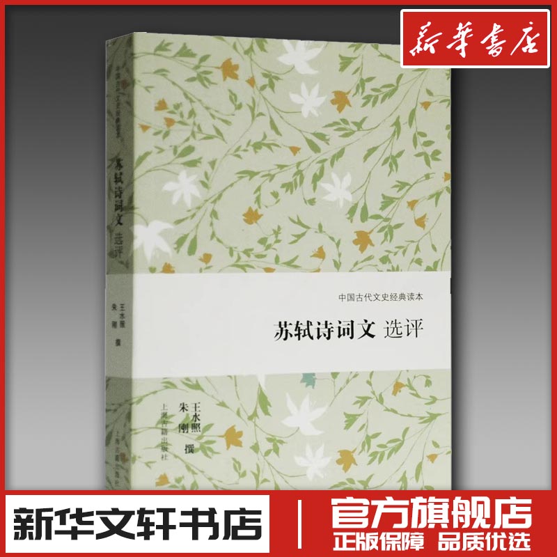 新华书店正版 古典文学理论