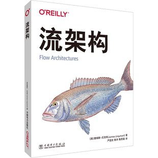 流架构 (美)詹姆斯·厄克特 著 严昱欣,陈洋,陈思聪 译 程序设计（新）专业科技 新华书店正版图书籍 中国电力出版社