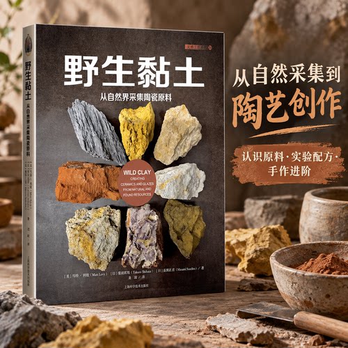 新华书店正版 民间工艺