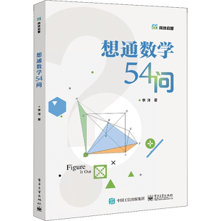 【新华正版】想通数学54问 初中通用二进制数怎么转换方程函数图形教程书籍 青少年数学思维训练 数学计算技巧 解题方法与技巧