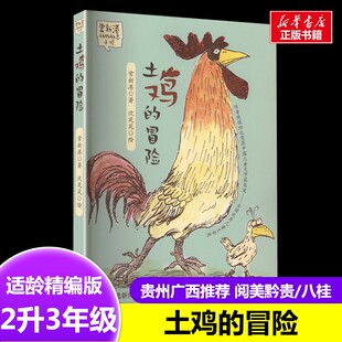 土鸡的冒险 常新港 著2升3年级贵州广西暑假推荐阅美黔贵阅美八桂春风文艺出版社安徒生童话坚定的锡兵稻草人格林童话白雪与红玫