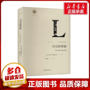 天空的背面 当代拉美名家诗选 (乌拉圭)伊达·维塔莱 等 著 范童心 译 中国现当代诗歌文学 新华书店正版图书籍 山东文艺出版社