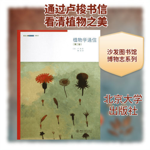新华书店正版 通讯