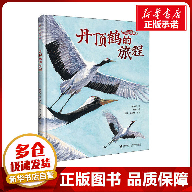 丹顶鹤的旅程 保冬妮著接力出版2022年度中国好书我的飞鸟朋友探秘飞鸟世界启蒙早教生命自然教育3-8岁儿童绘本图画故事书