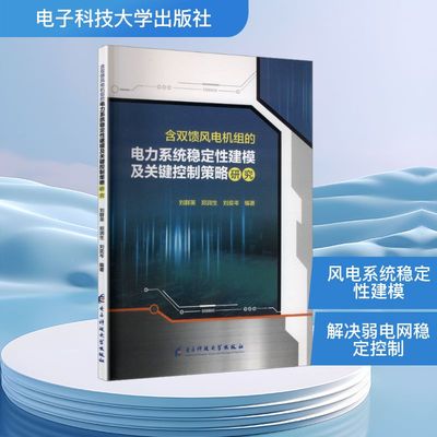 含双馈风电机组的电力系统稳定性建模及关键控制策略研究 刘群英,郑润生,刘奕岑 编著 编 电工技术/家电维修专业科技