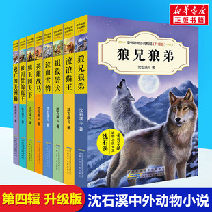 8册沈石溪动物小说全集第四季中外动物小说精品升级版狼兄狼弟流浪猫王退役警犬泣血雪豹英雄战马熊王闯天下安徽少年儿童出版社