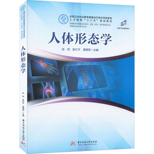 人体形态学 张烨,陈红平,黄拥军 编 大学教材大中专 新华书店正版图书籍 华中科技大学出版社