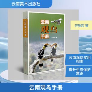 云南观鸟手册 任维东 著 著 鸟类专业科技 新华书店正版图书籍 云南美术出版社