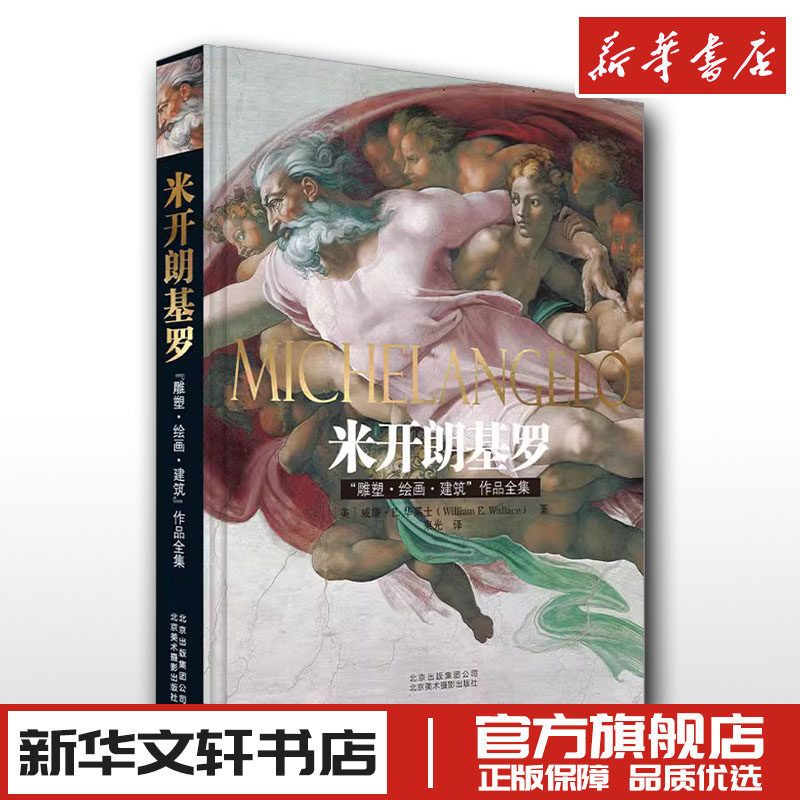米开朗基罗"雕塑·绘画·建筑"作品全集 (美)威廉·E.华莱士 著 束光 译 绘画（新）艺术 新华书店正版图书籍 北京美术摄影出版社