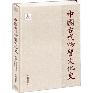 中国古代物质文化史 绘画·石窟寺壁画(敦煌) 王治 著 工艺美术（新）艺术 新华书店正版图书籍 开明出版社