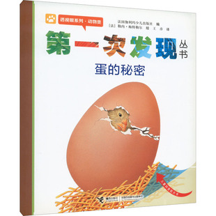 第一次发现丛书 透视眼系列·动物类 蛋的秘密 法国伽利玛少儿出版社 编 王彦 译 (法)勒内·梅特勒尔 绘 科普百科少儿