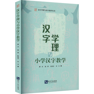 汉字学理与小学汉字教学 潘杰 等 著 潘杰 编 社会科学其它文教 新华书店正版图书籍 知识产权出版社