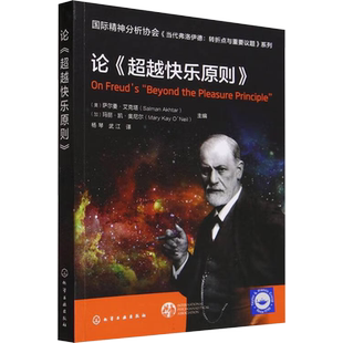 论《超越快乐原则》 (美)萨尔曼·艾克塔,(加)玛丽·凯·奥尼尔 编 杨琴,武江 译 心理学生活 新华书店正版图书籍 化学工业出版社