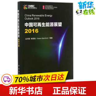 等 新华书店正版 社 天然气工业专业科技 王仲颖 科学出版 著 图书籍 中国可再生能源展望2016 石油