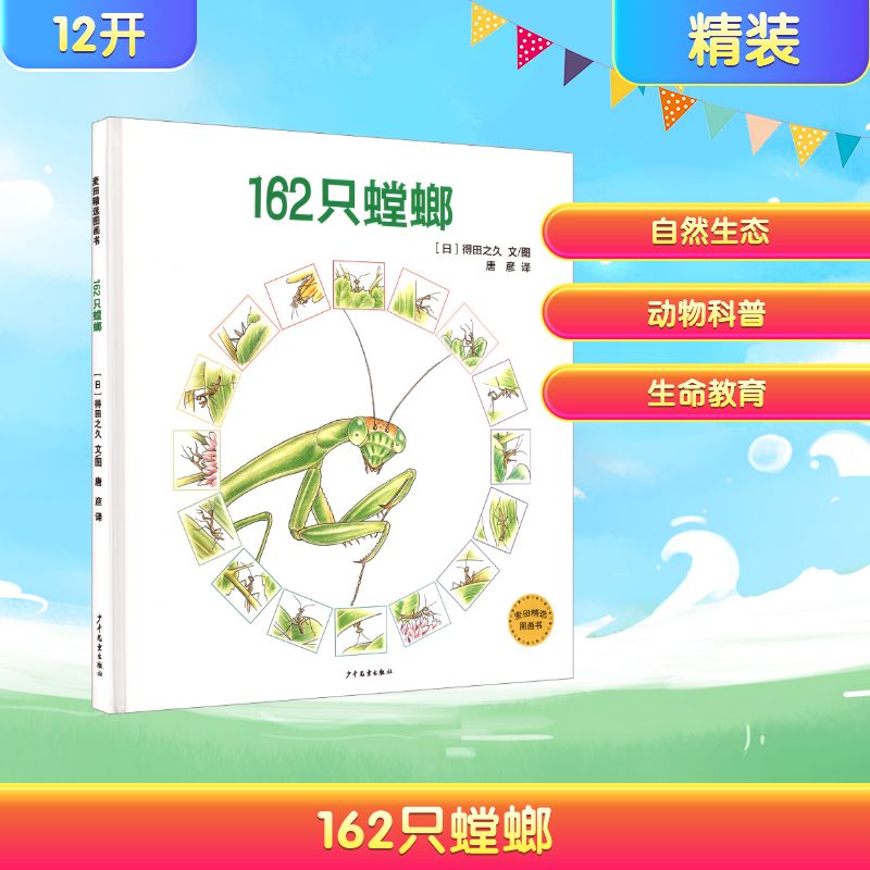 新华书店正版 绘本