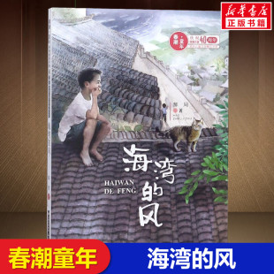 庆祝改革开放40年原创儿童文学精品书系 郝周8 海湾 12岁儿童文学读物三四五六年级小学生课外阅读晨光出版 春潮童年 社 风