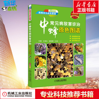 中蜂常见病敌害诊治原色图谱 任勤,王瑞生,姬聪慧 编 畜牧/养殖专业科技 新华书店正版图书籍 机械工业出版社