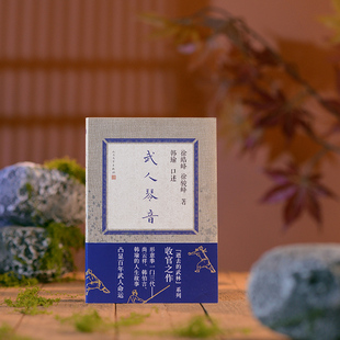 武人琴音 徐皓峰,徐骏峰 著 文学作品集文学 新华书店正版图书籍 人民文学出版社