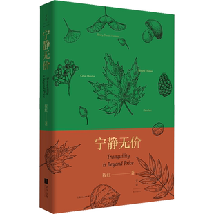 宁静无价 程虹 著 文学理论/文学评论与研究文学 新华书店正版图书籍 上海人民出版社