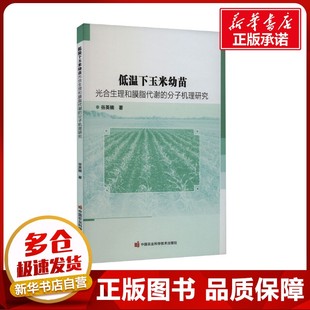 低温下玉米幼苗光合生理和膜脂代谢的分子机理研究 谷英楠 著 园艺专业科技 新华书店正版图书籍 中国农业科学技术出版社