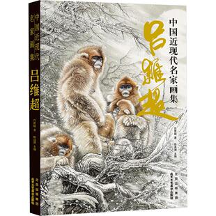 中国近现代名家画集·吕维超 吕维超 著 陈高潮 编 绘画(新)艺术 新华书店正版图书籍 北京工艺美术出版社