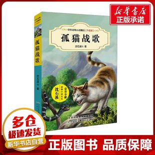 著 儿童文学少儿 新华书店正版 孤猫战歌 安徽少年儿童出版 等 图书籍 沈石溪