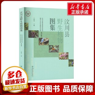 汶川县野生植物图集 王丽华 编 生命科学/生物学专业科技 新华书店正版图书籍 四川大学出版社