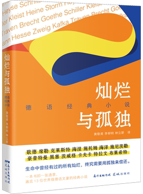 灿烂与孤独 德语经典小说 (德)歌德 等 著 黄敬甫,李柳明,林立新 译 外国小说文学 新华书店正版图书籍 花城出版社
