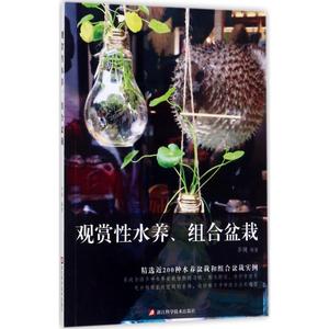 观赏性水养、组合盆栽 华姨 编著 著作 心理健康生活 新华书店正版图书籍 浙江科学技术出版社