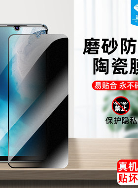 v20磨砂vivo陶瓷膜防偷看全屏