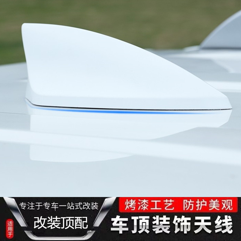 天线车顶装饰沙鱼汽车配件康隆