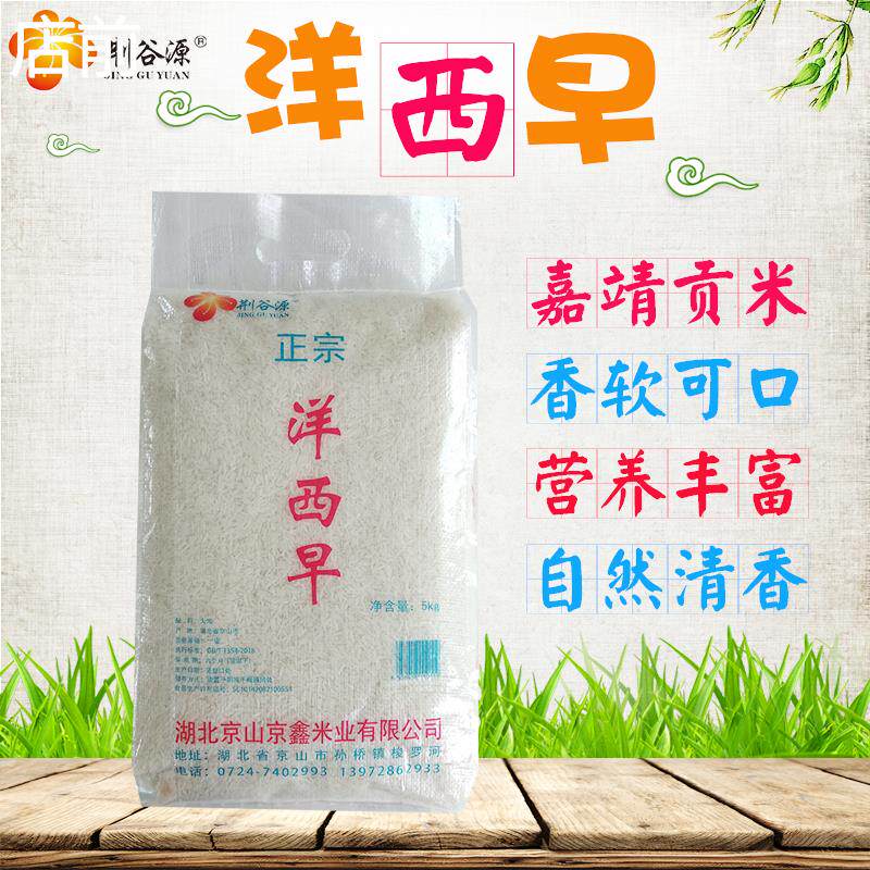 洋西早嘉靖贡米京山桥米10斤包邮长粒香大米地标产品湖北特产大米