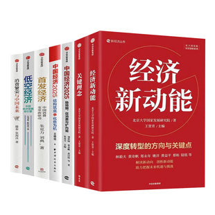 新经济丛书全七册:首发经济+中国经济2025+低空经济+关键理念+经济新动能+消费繁荣与中国未来 两会 十五五规划 2025中国经济发展