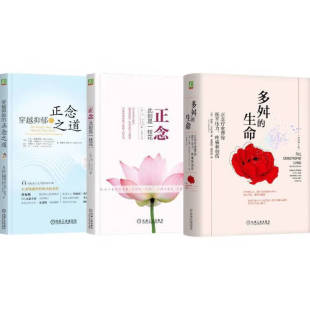 穿越抑郁 社 正念 机械工业出版 全3册 正念之道 生命 多舛 此刻是一枝花 卡巴金心理学作品集 套装