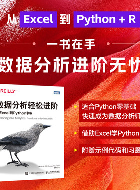 数据分析轻松进阶：从Excel到Python和R R语言Python数据分析计算机编程语言书籍 人民邮电出版社