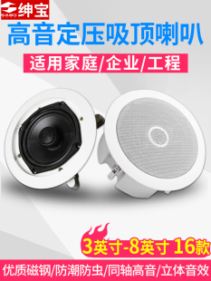 音箱 吸顶喇叭定压天花吊顶音响店铺商场消防广播同轴高音嵌入式